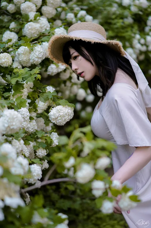 绣球花 - 皮皮奶可可爱了啦